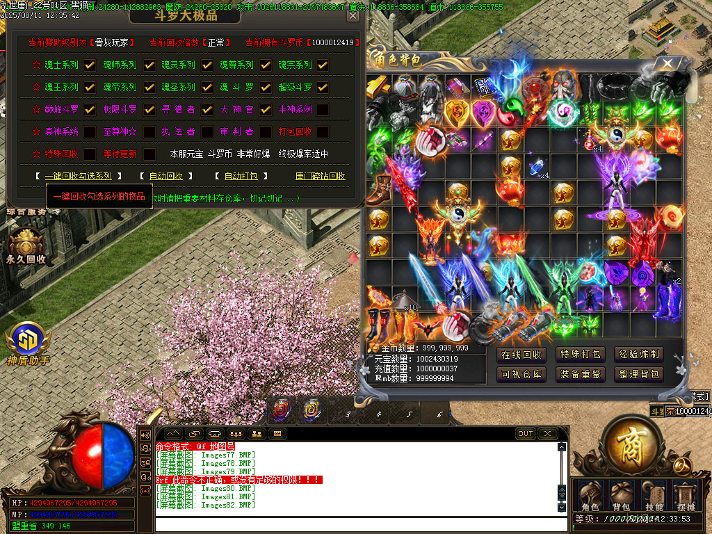 Images87.BMP