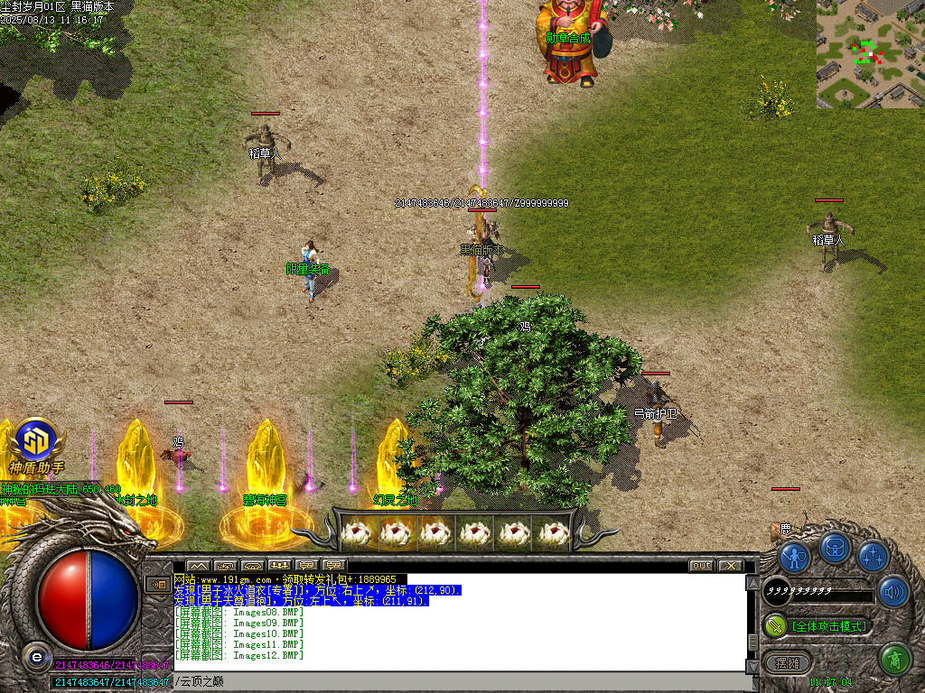 Images13.BMP