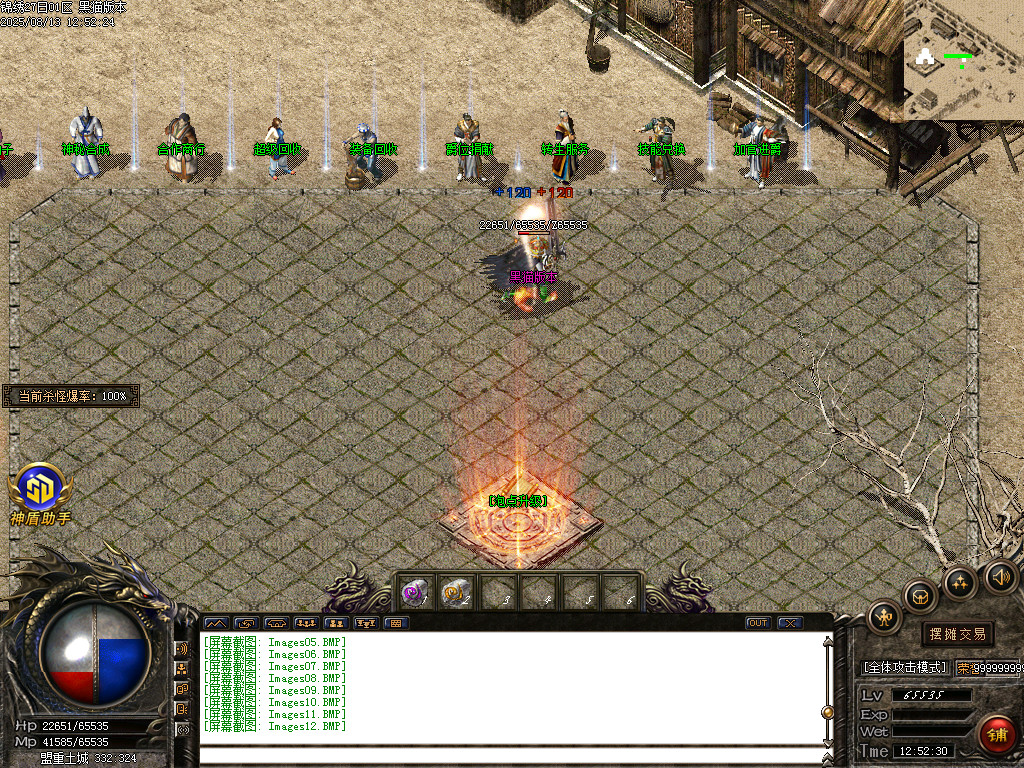 Images13.BMP