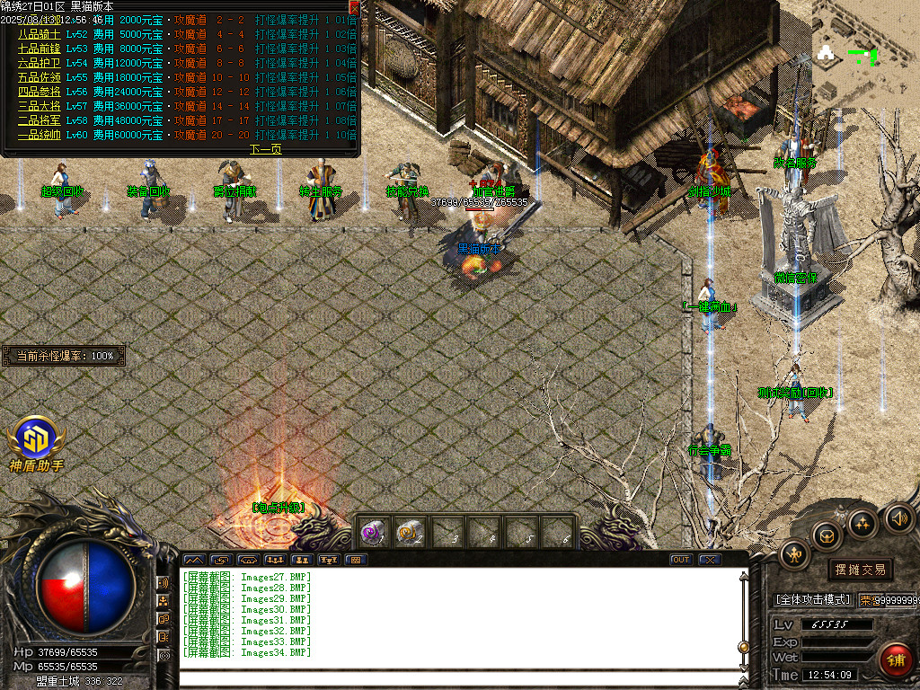 Images35.BMP
