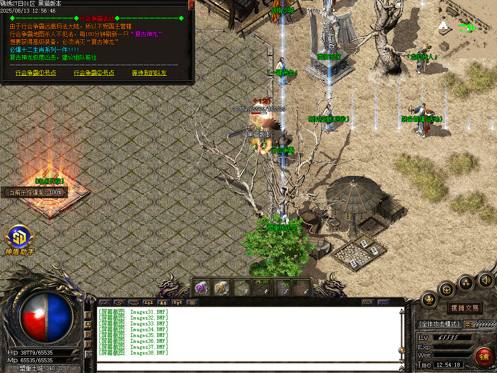 Images39.BMP