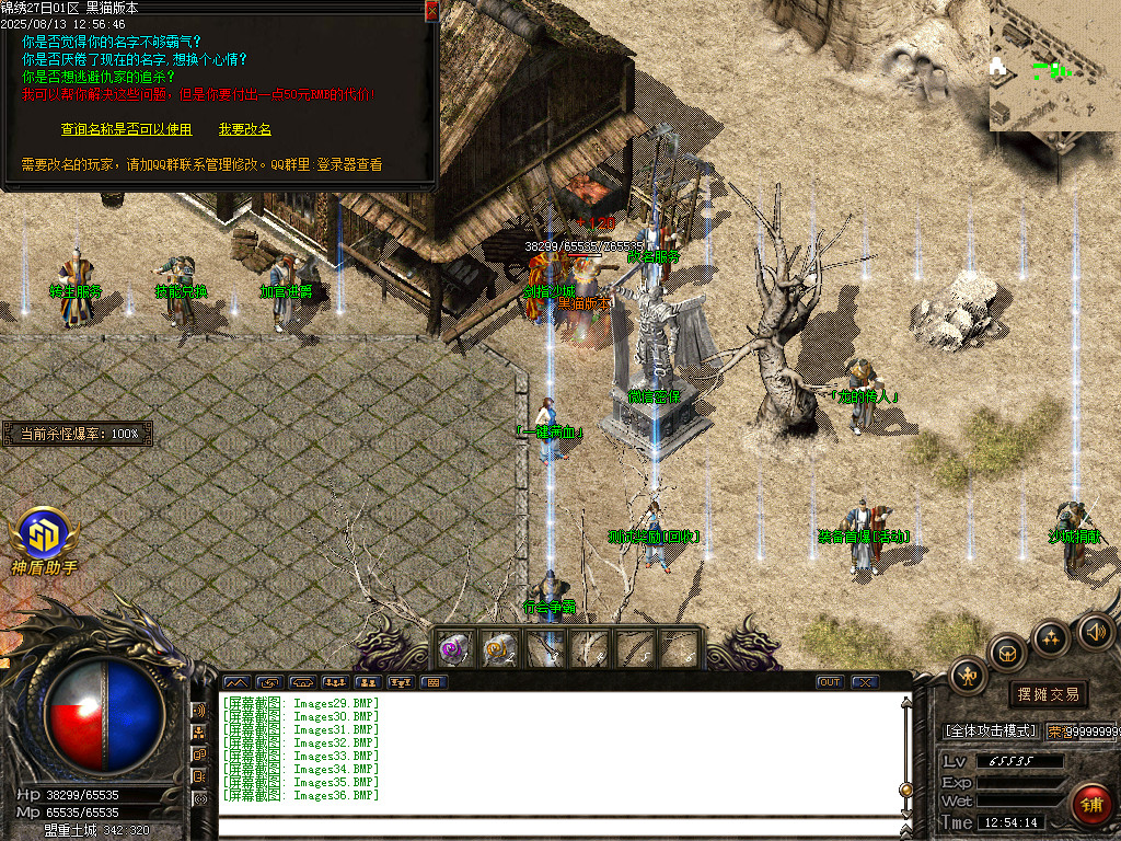 Images37.BMP