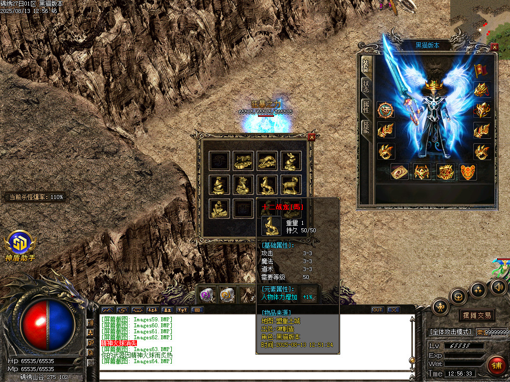 Images65.BMP