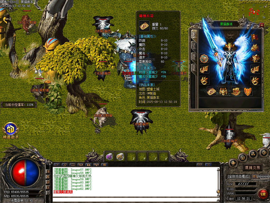 Images63.BMP