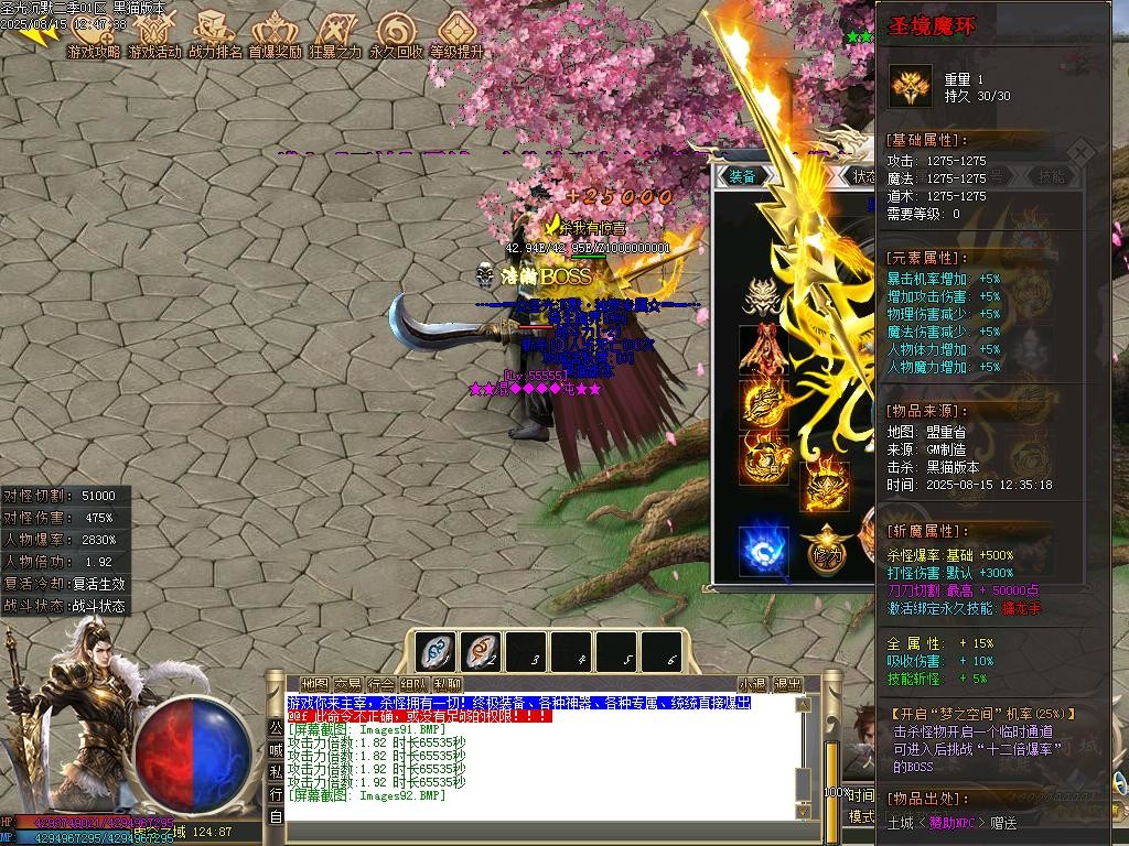 Images93.BMP