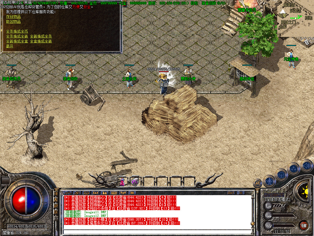 Images13.BMP
