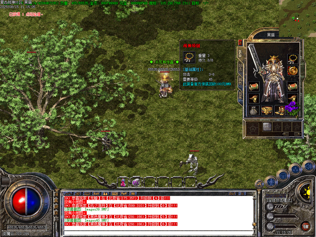 Images41.BMP