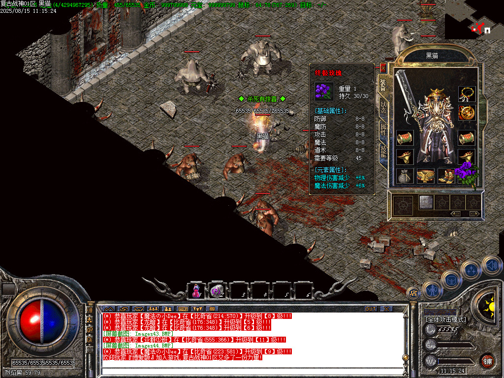 Images45.BMP