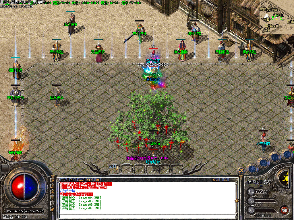 Images08.BMP