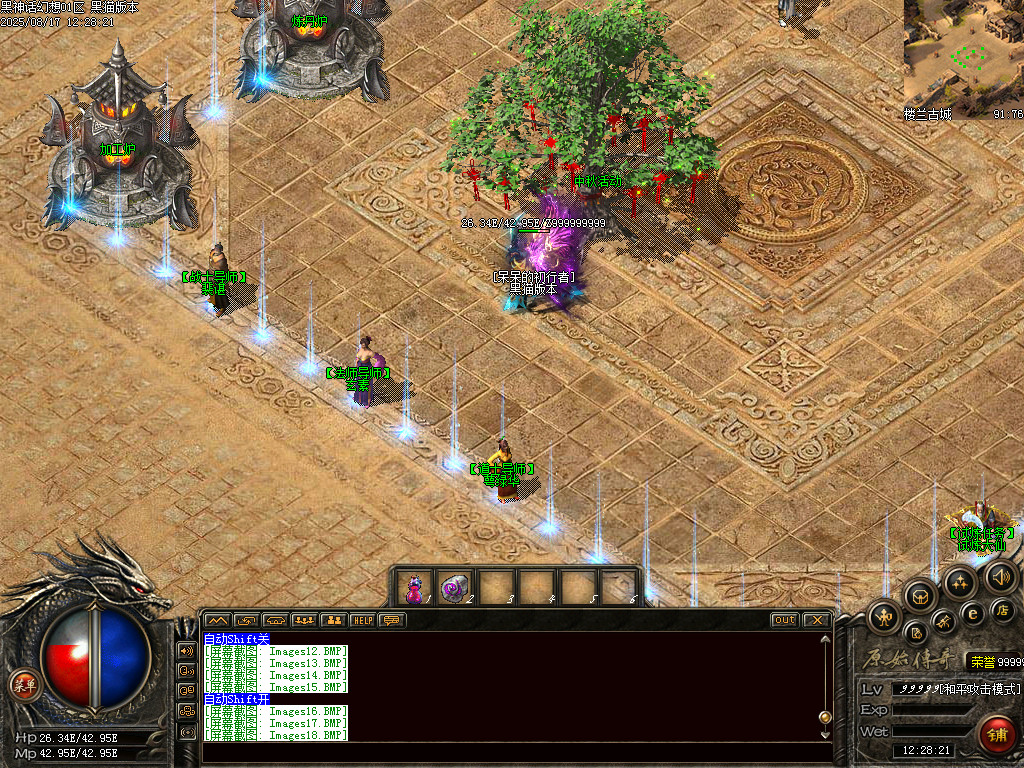 Images19.BMP