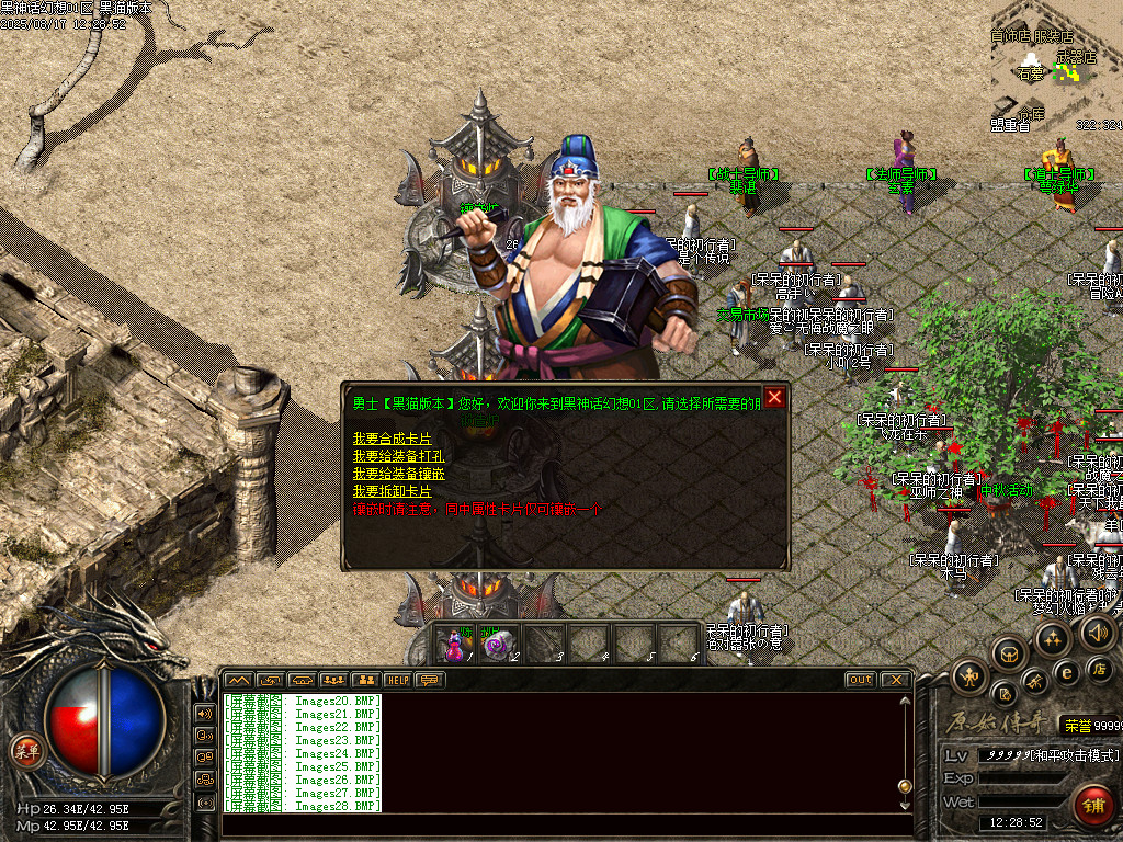 Images29.BMP