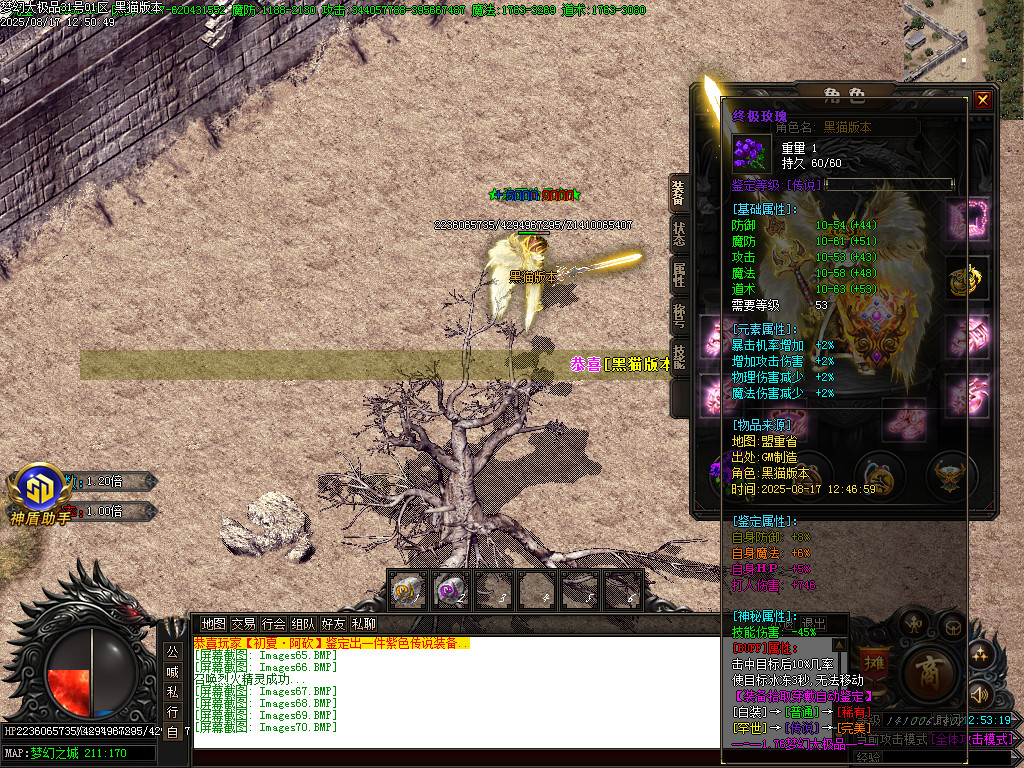Images71.BMP