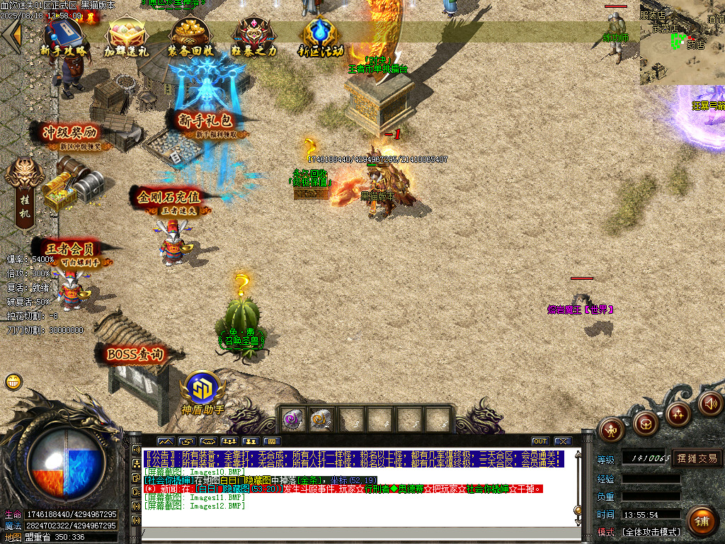 Images13.BMP