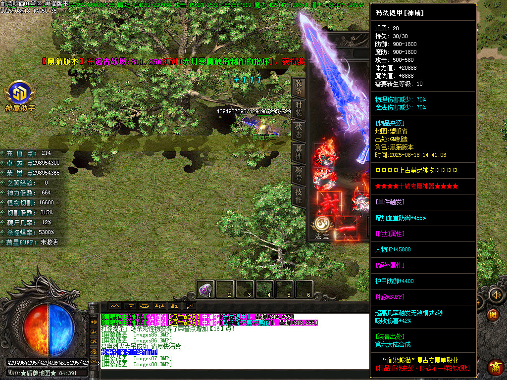 Images89.BMP