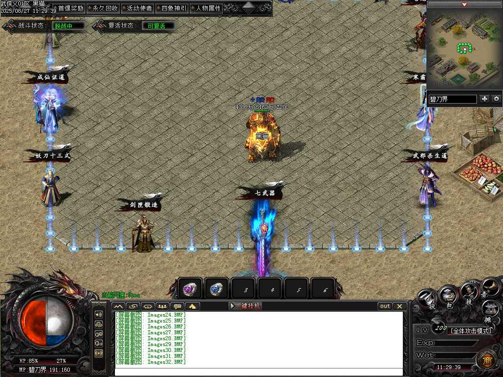 Images33.BMP