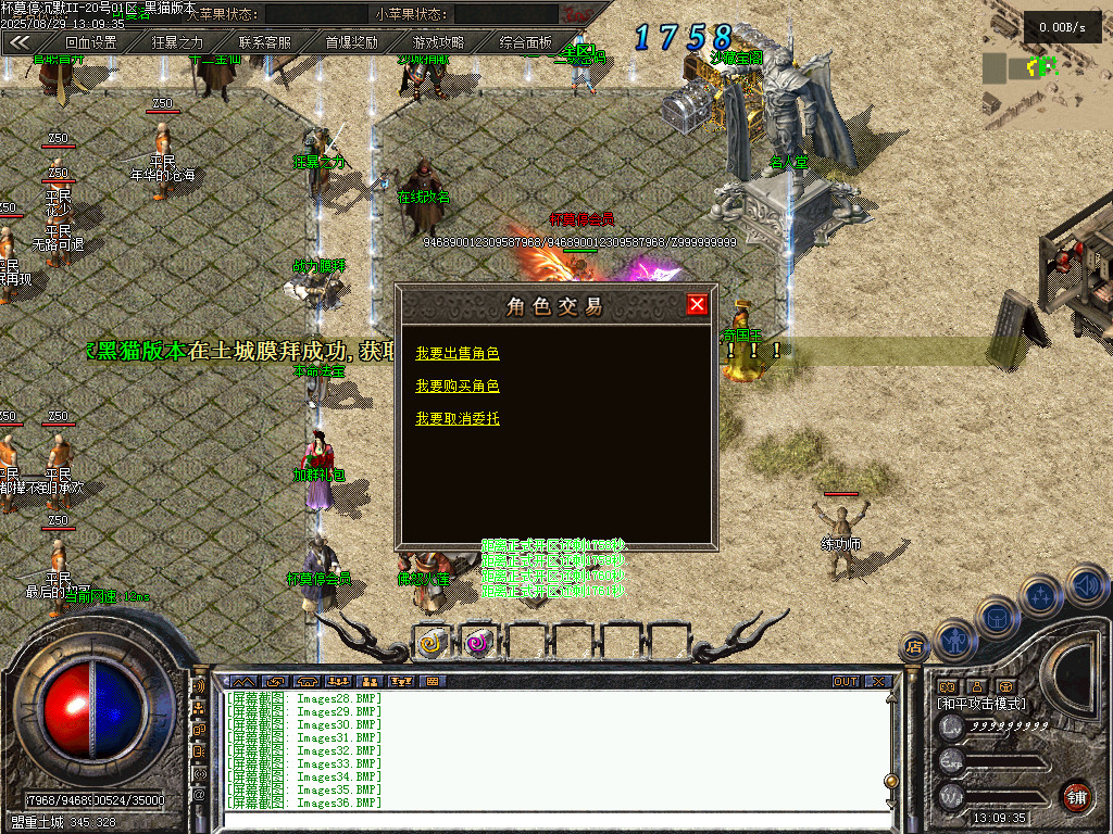 Images39.BMP