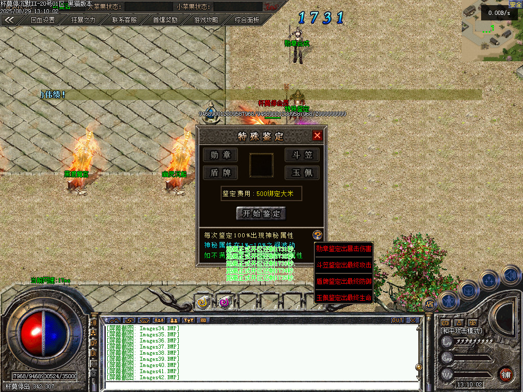 Images43.BMP