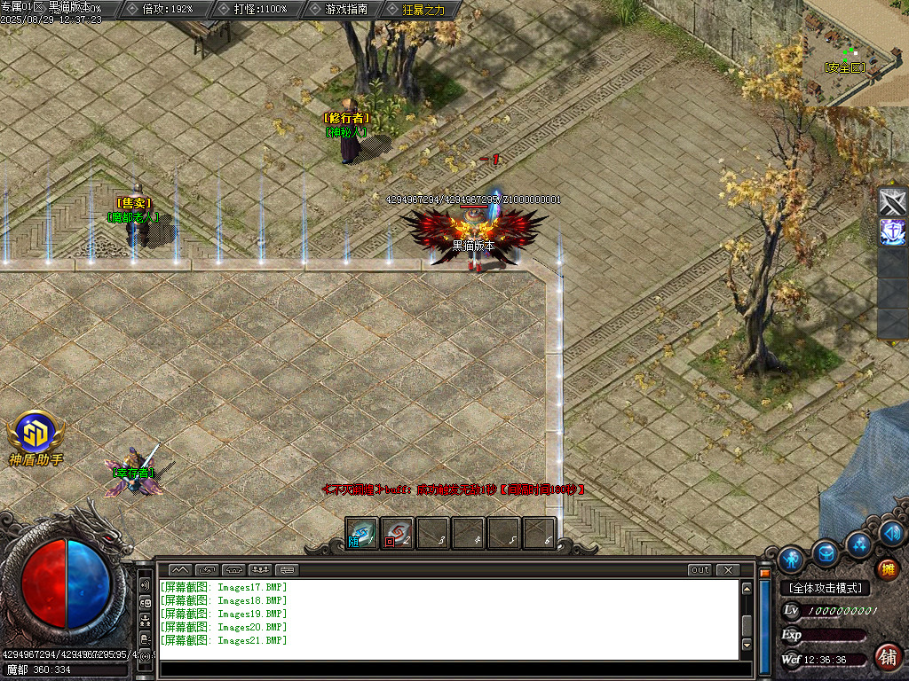 Images22.BMP
