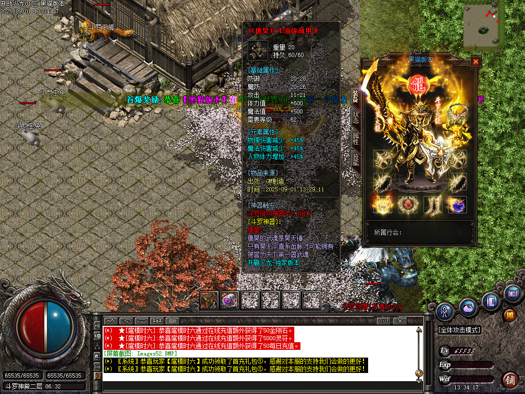 Images53.BMP