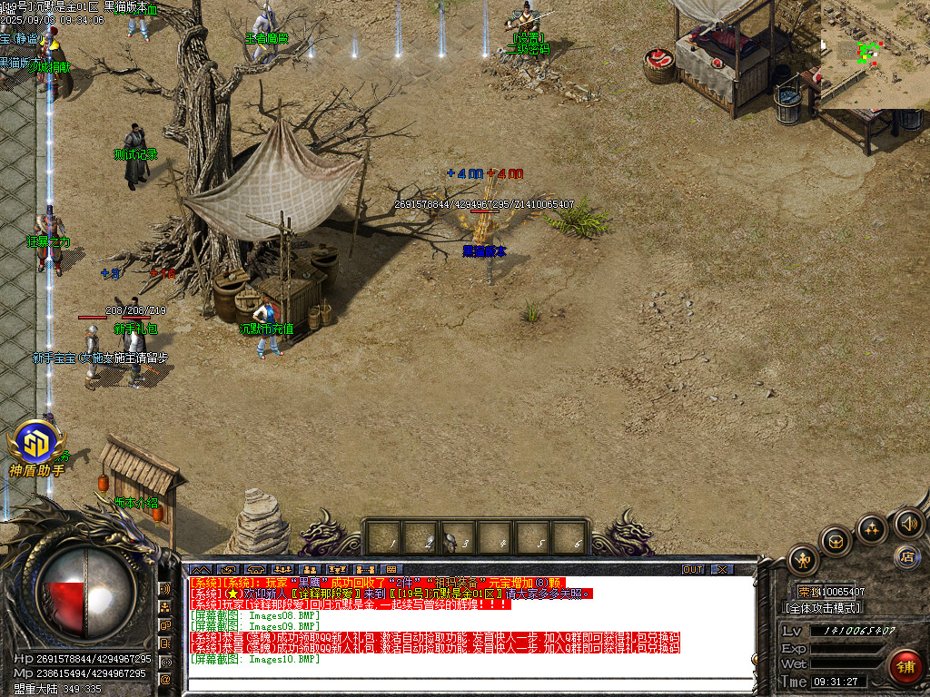 Images11.BMP