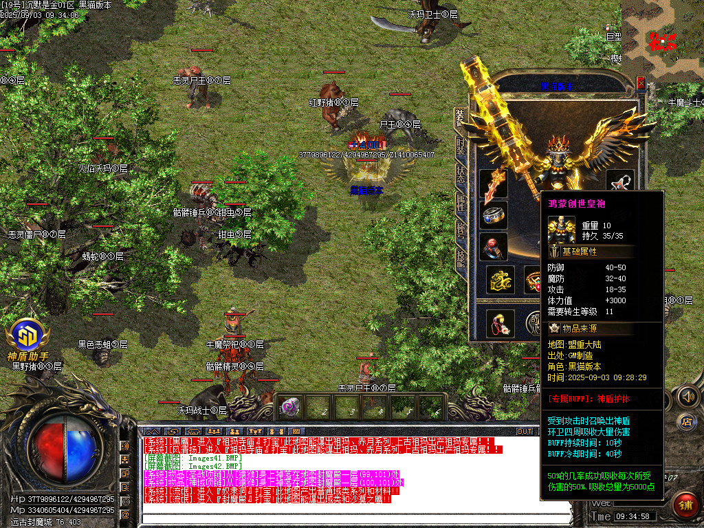Images43.BMP