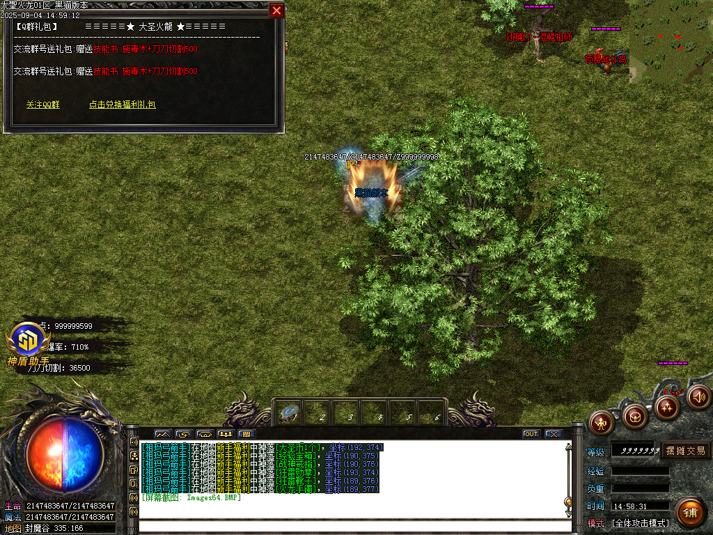 Images65.BMP