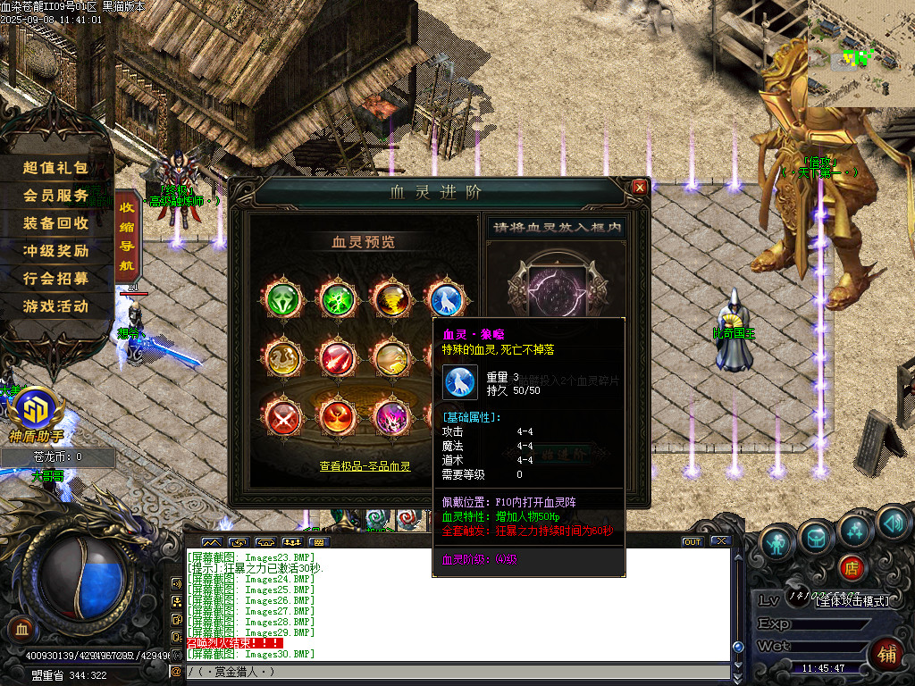 Images31.BMP