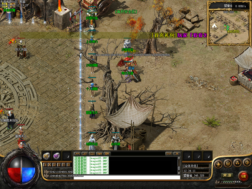 Images11.BMP