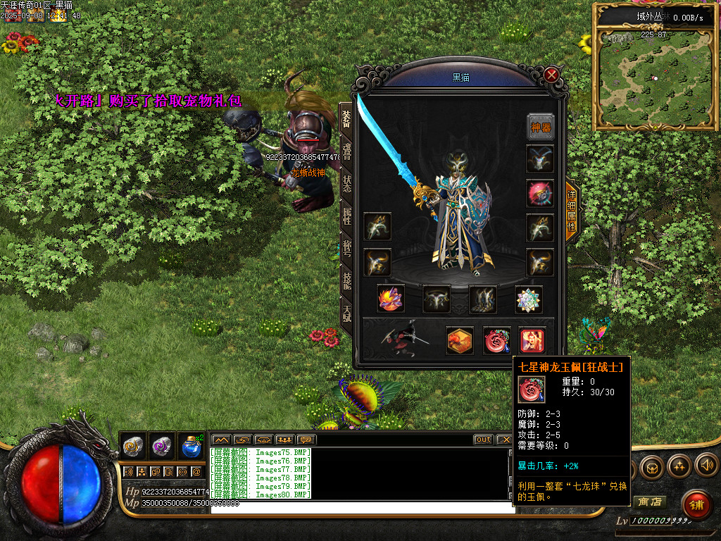 Images81.BMP