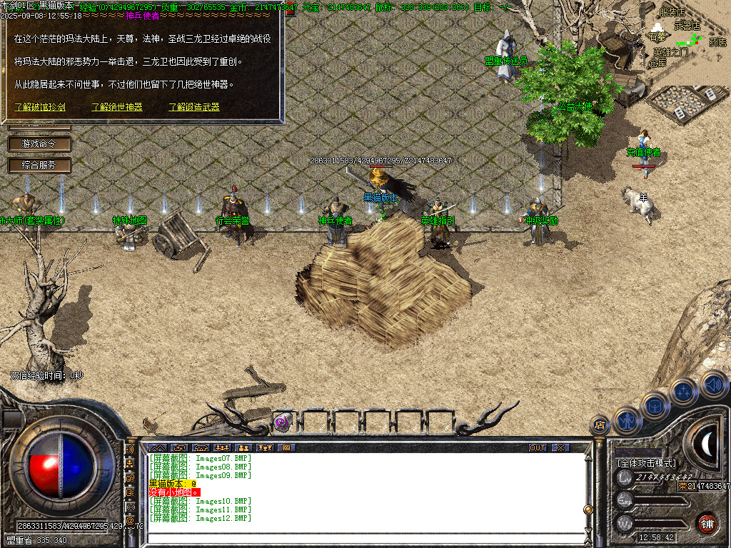 Images13.BMP