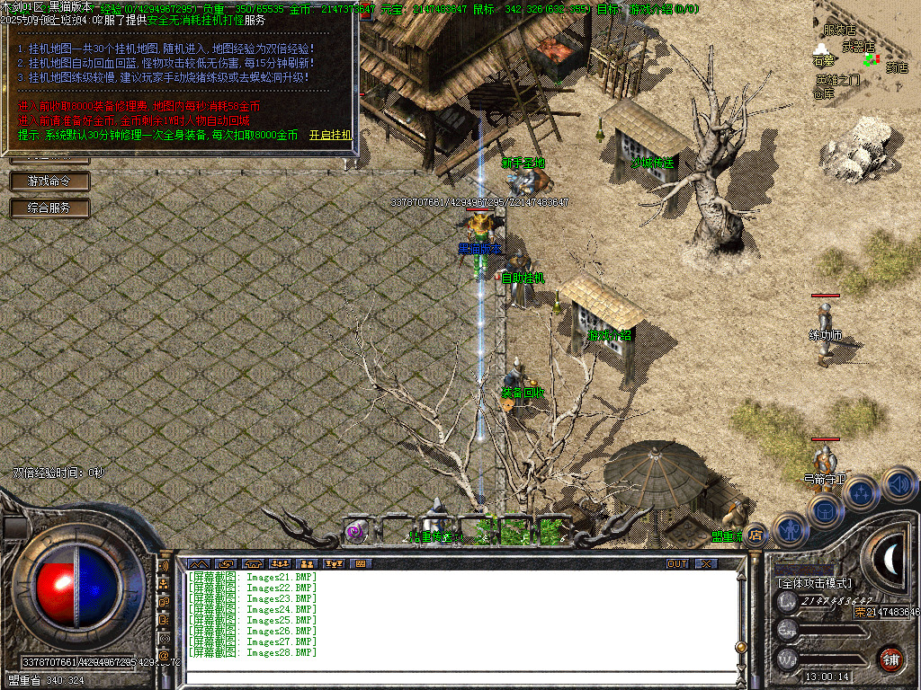 Images29.BMP