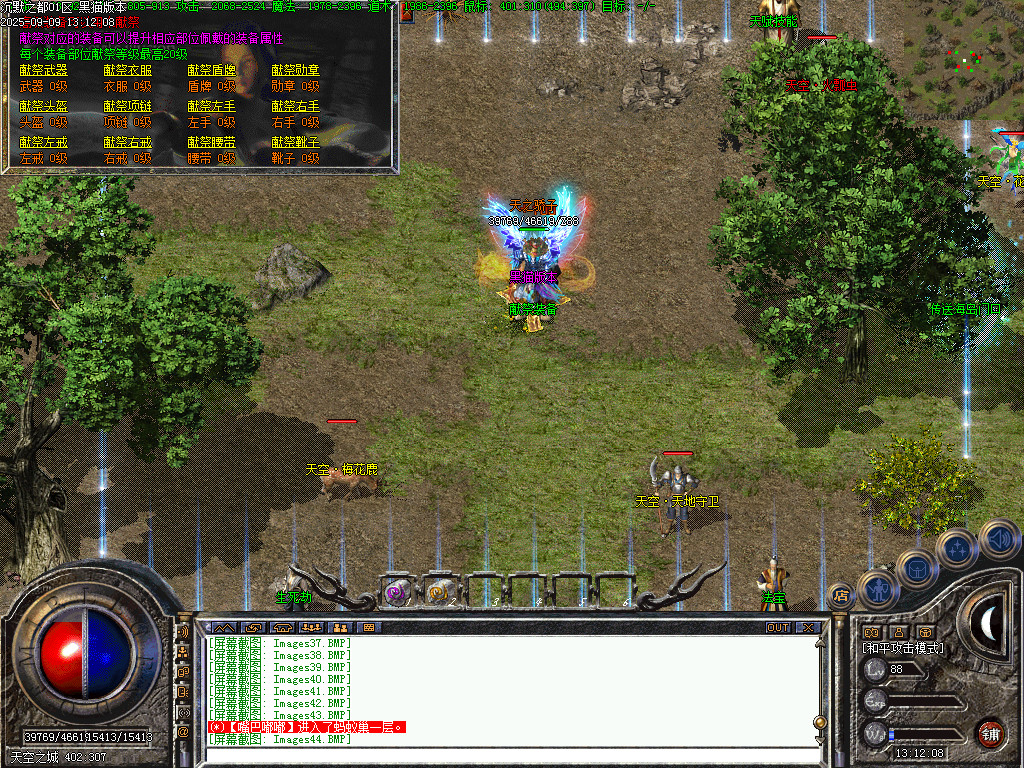 Images45.BMP