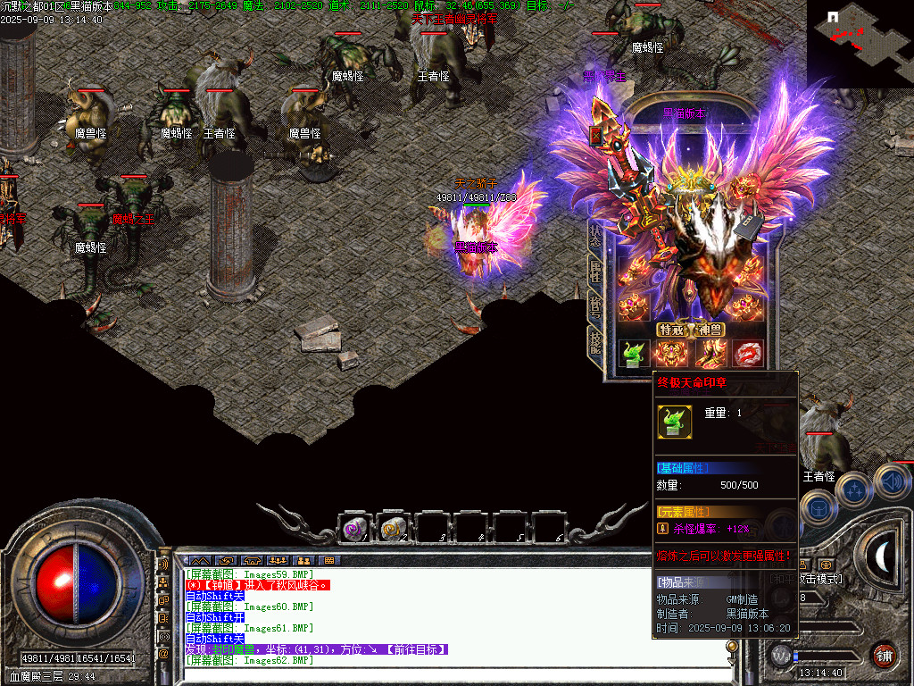 Images63.BMP