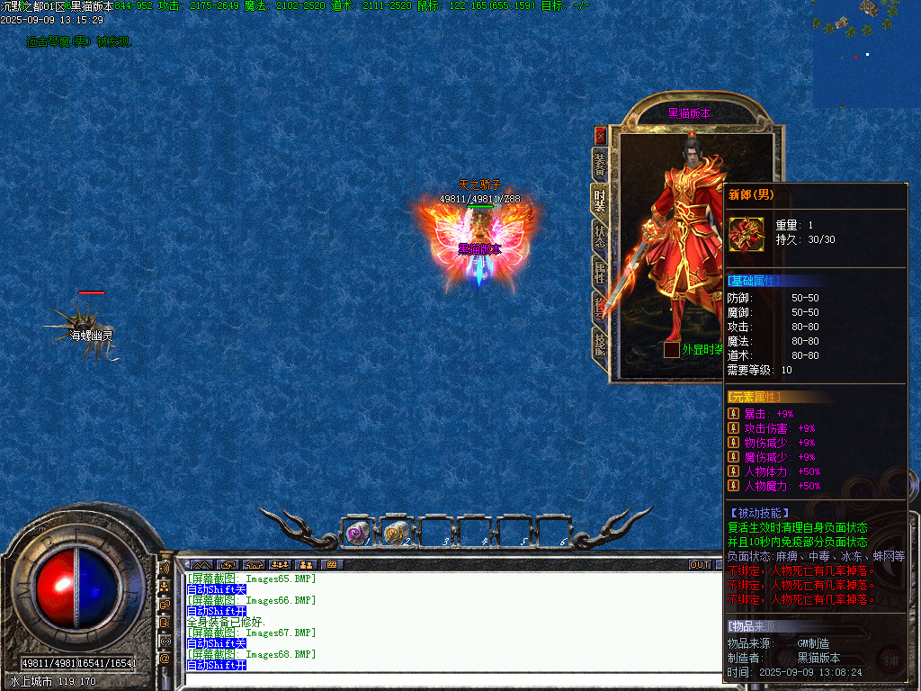 Images69.BMP