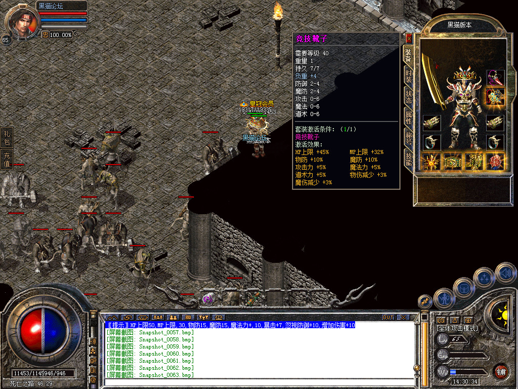 Snapshot_0064.bmp