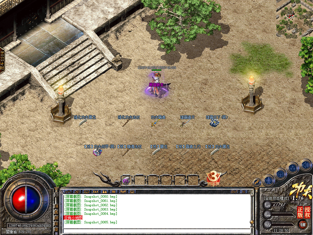 Snapshot_0066.bmp