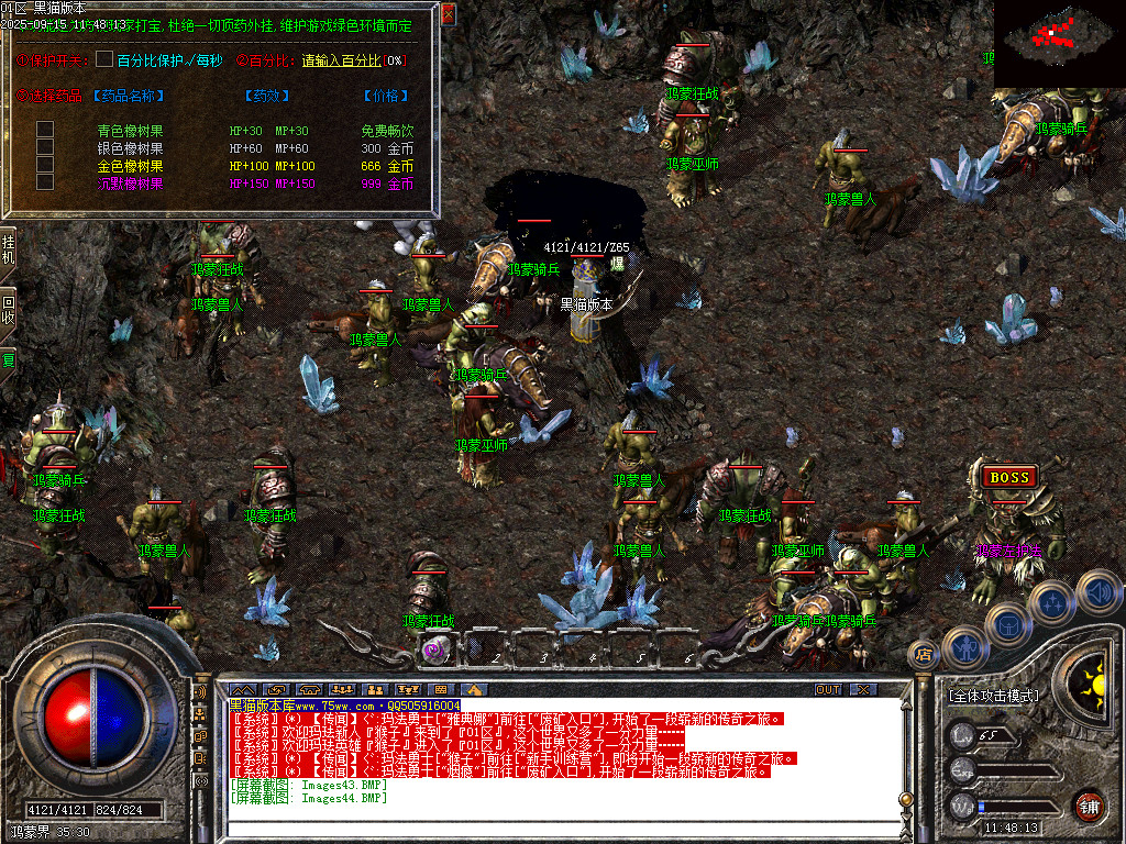 Images45.BMP