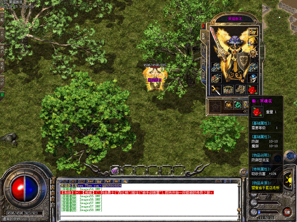 Images59.BMP