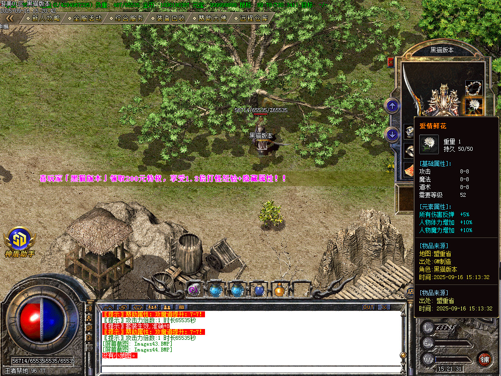 Images45.BMP