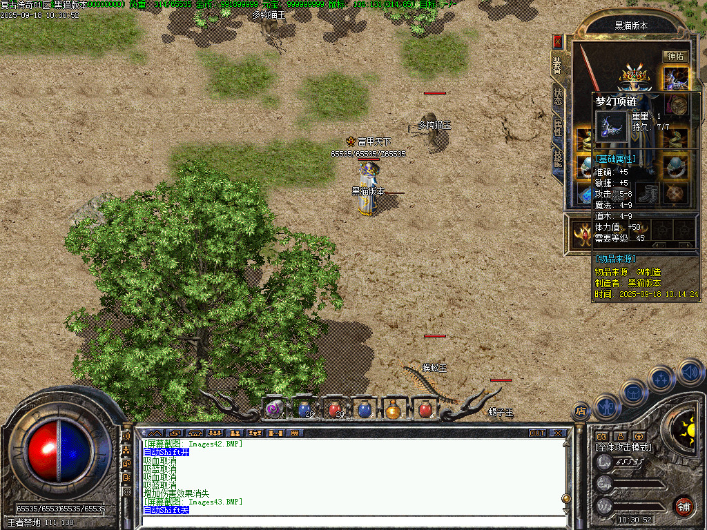 Images44.BMP