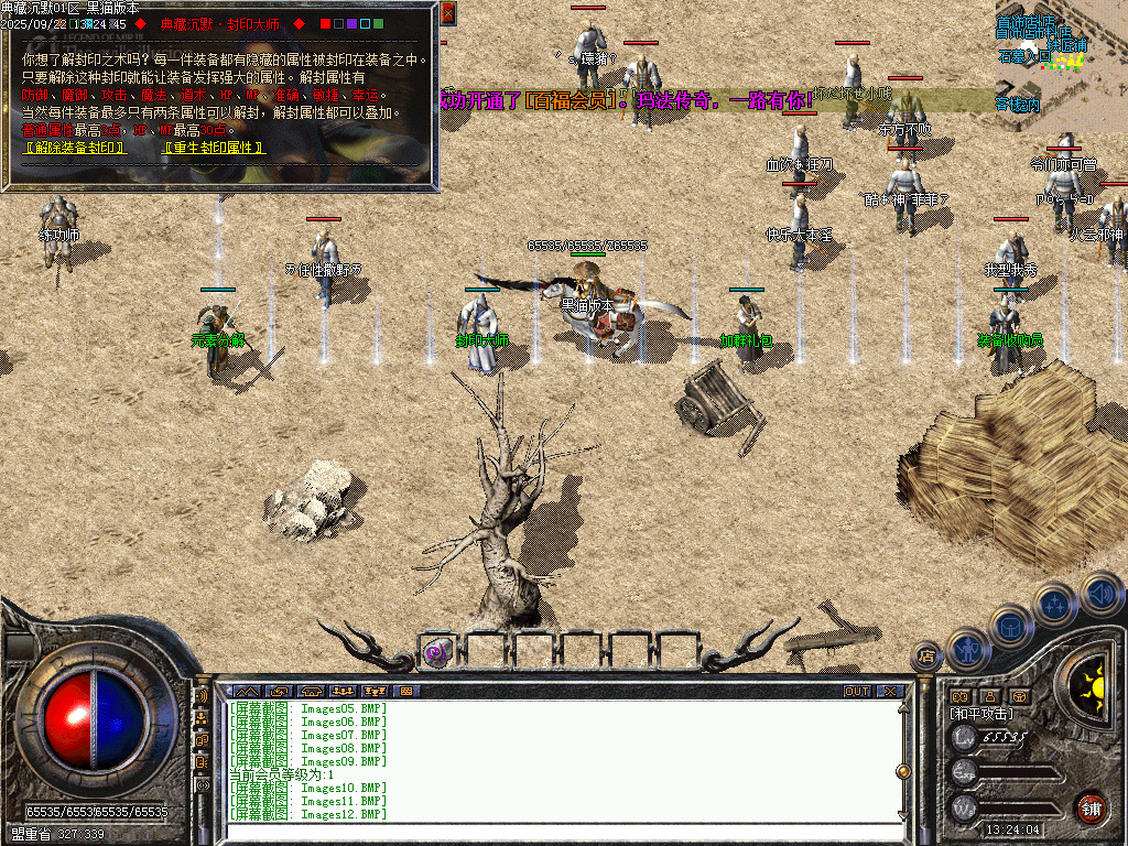 Images13.BMP