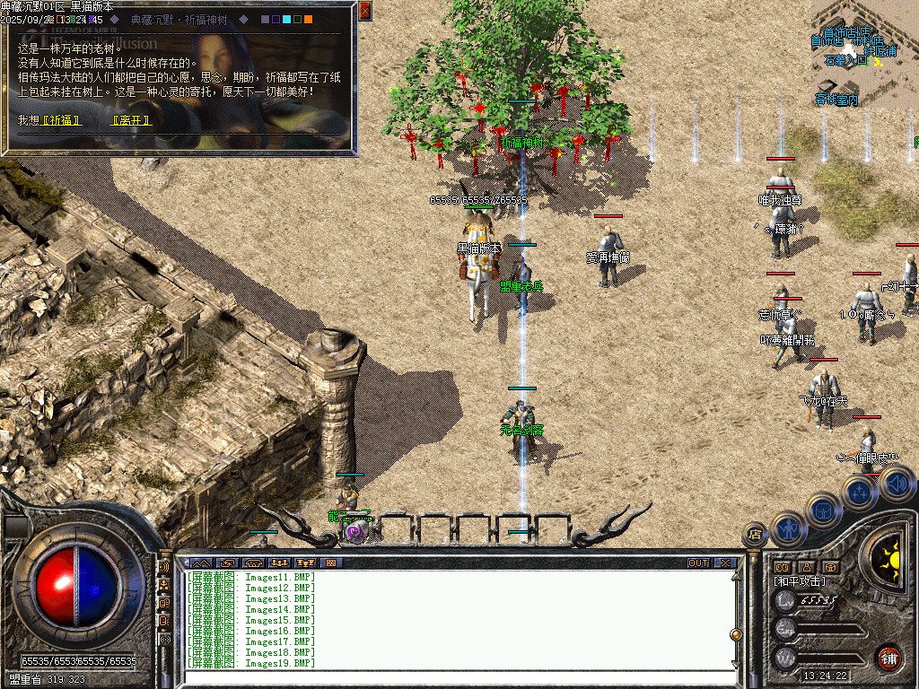 Images20.BMP
