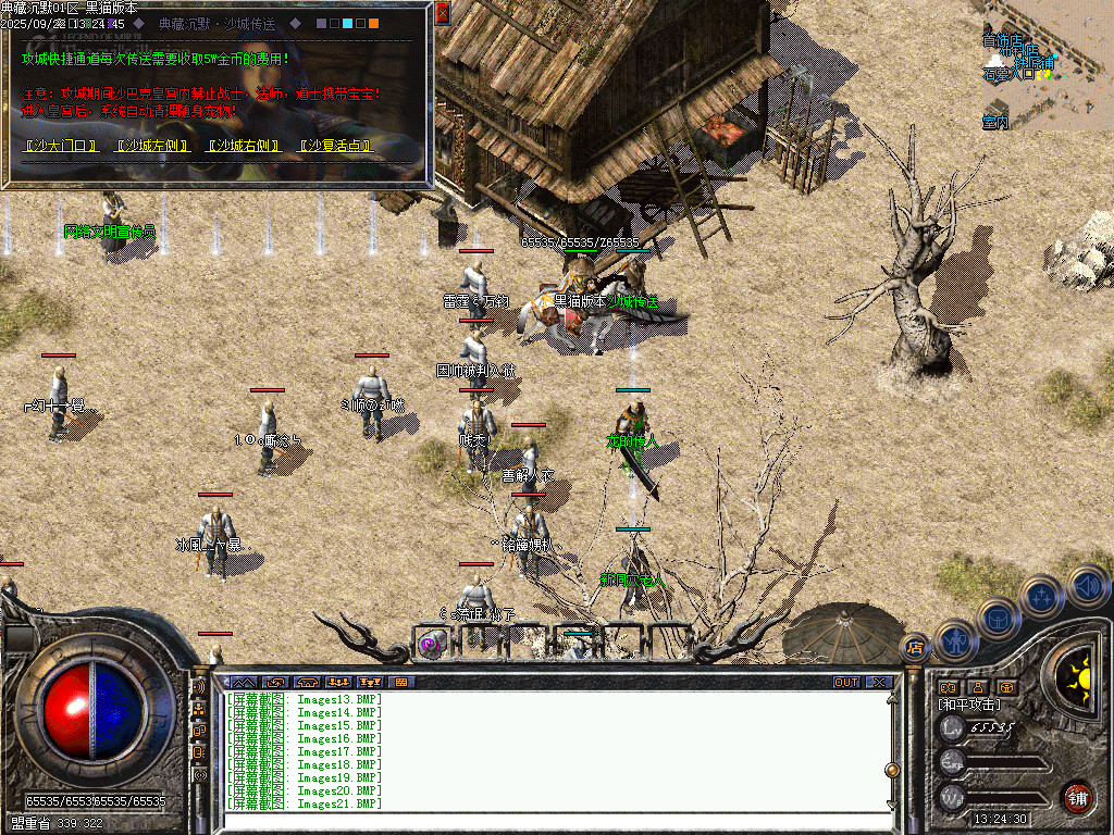 Images22.BMP