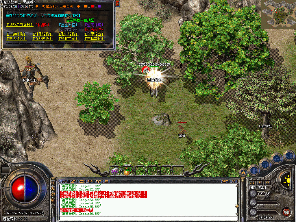 Images27.BMP