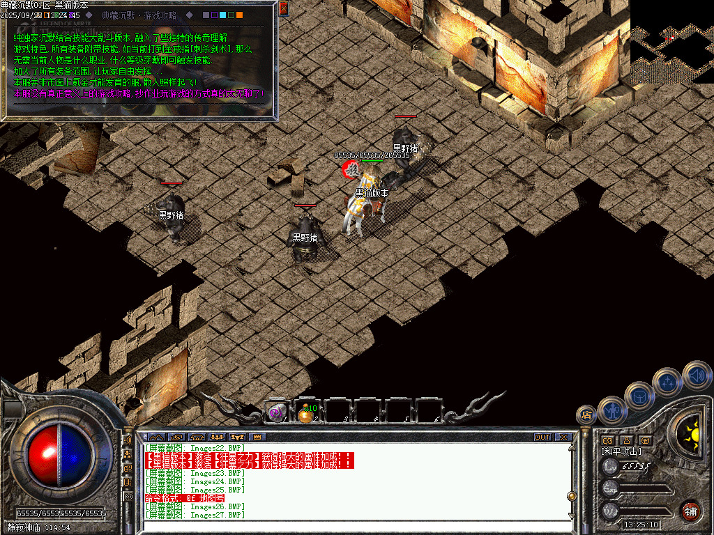Images28.BMP