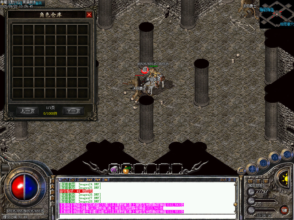 Images29.BMP