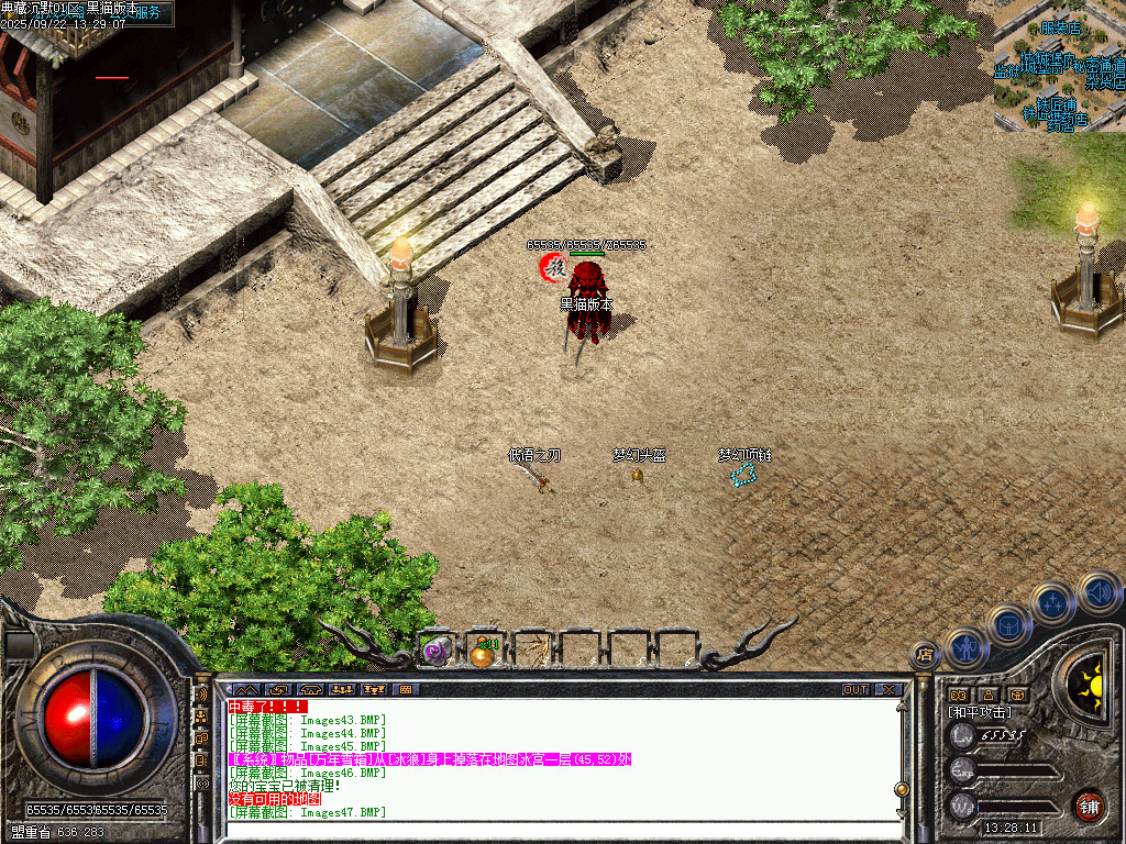 Images48.BMP