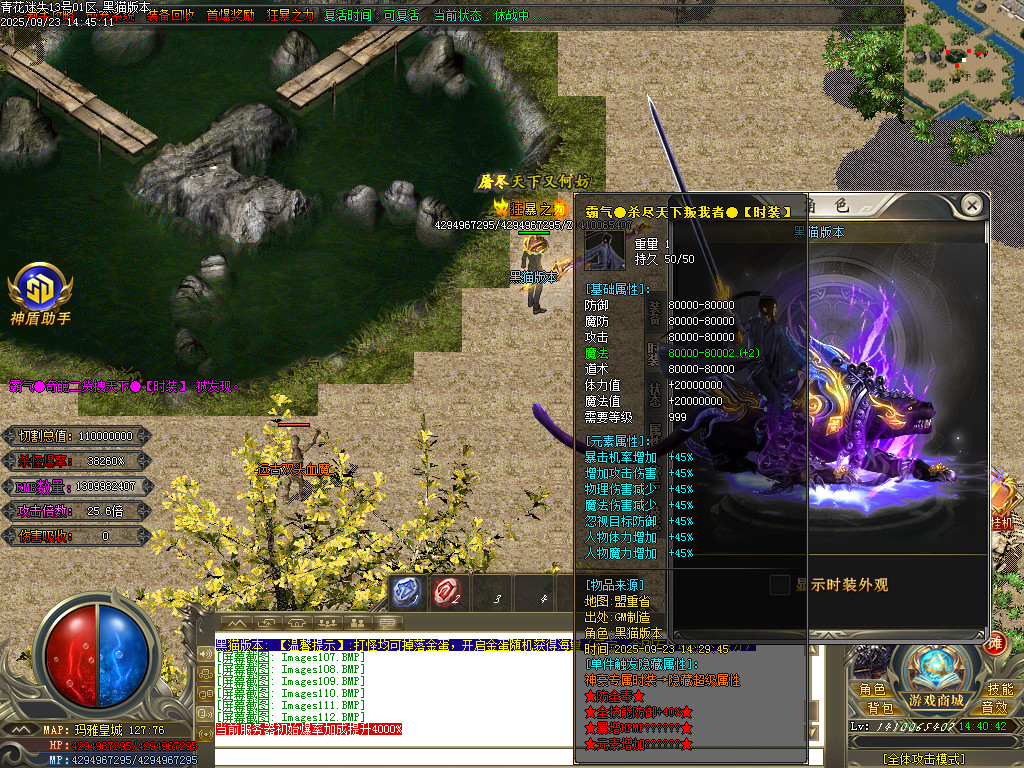 Images116.BMP