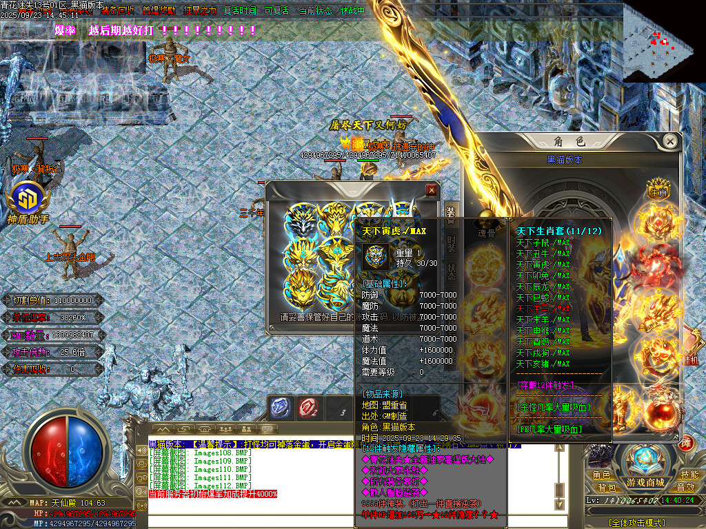 Images113.BMP