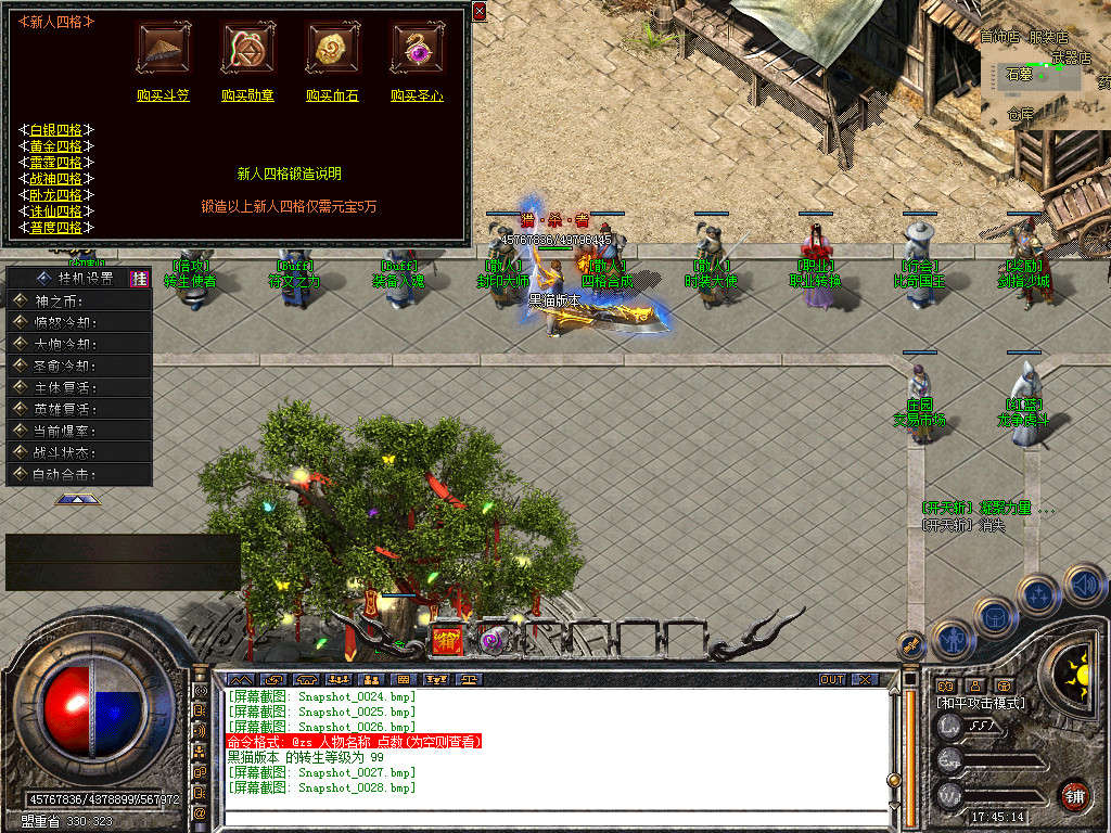 Snapshot_0029.bmp